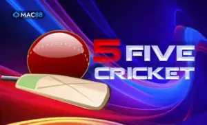 5-FIVE-CRICKET